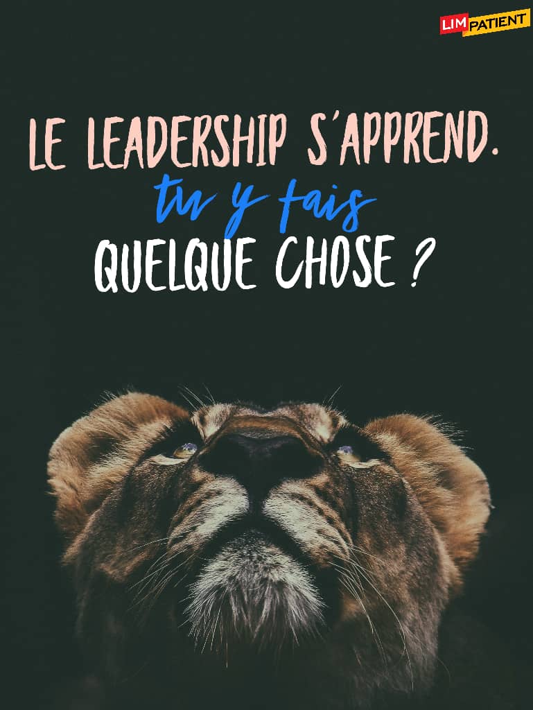 comment developper ton leadership